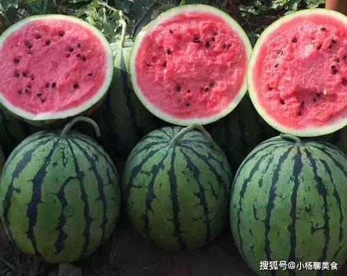 网上在线免费吃瓜