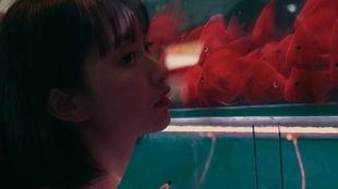 热血吃瓜少女,揭秘娱乐圈背后的秘密