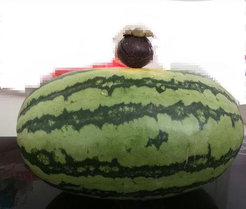 大家吃瓜的场景描写,吃瓜群众欢乐多