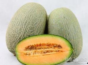 为什么吃哈密瓜会上火,揭秘为何美味瓜果也可能引发不适