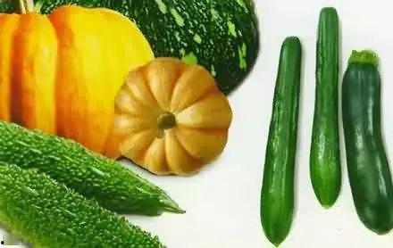 巨型老瓜是否可以吃,揭秘其可食用之谜