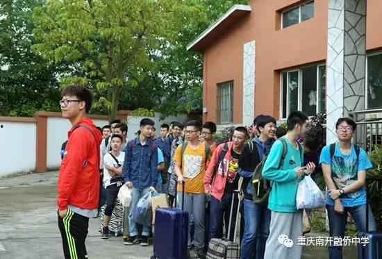 社会实践吃瓜群众,吃瓜群众视角下的社会实践众生相