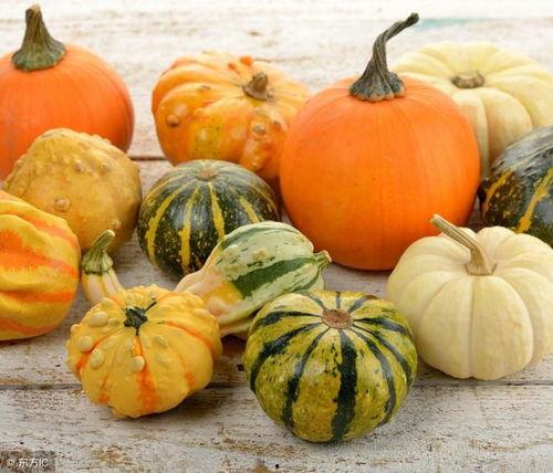 吃瓜协会招人,招募新成员，共享欢乐时光