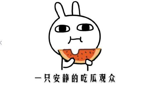 瓜瓜吃瓜细节描写