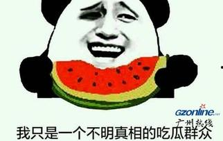 瓜瓜吃瓜细节描写