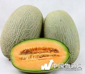 腹泻后吃哈密瓜可以吗,腹泻后食用哈密瓜的安全性探讨