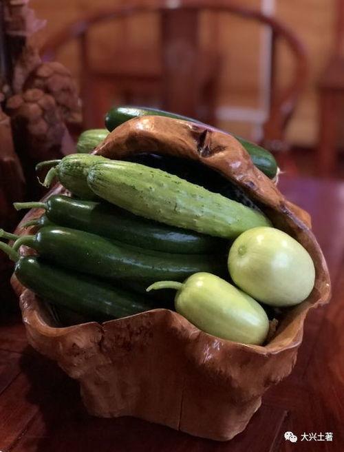 金乡网红吃瓜,揭秘幕后故事与热门话题