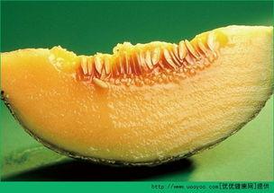 哈密瓜什么时段吃,哈密瓜的最佳食用时段揭秘