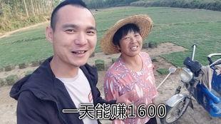 乡下吃瓜大妈小说,大妈的乡村生活传奇