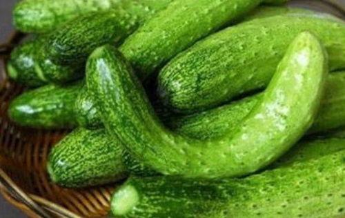 齐盛湖吃瓜,夏日吃瓜盛宴