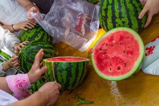 早上吃瓜视频,揭秘今日热门视频背后的故事