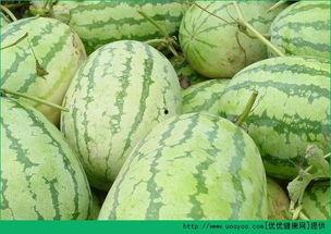 早上吃瓜视频,揭秘今日热门视频背后的故事