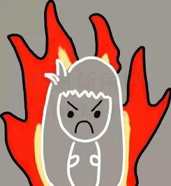 吃瓜犯不犯错,辨别真相的智慧