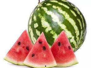 椰枝吃瓜系统,探索热带风情与休闲生活的完美融合