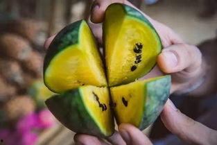 梦儿吃瓜,揭秘娱乐圈的甜蜜与苦涩