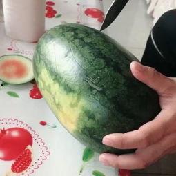 梦儿吃瓜,揭秘娱乐圈的甜蜜与苦涩