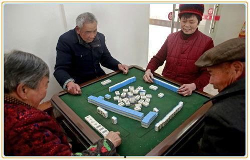 吃瓜开场子打牌,一场别开生面的娱乐盛宴