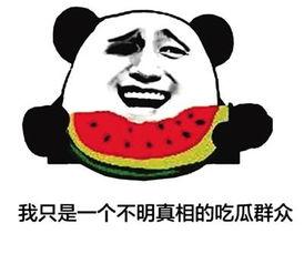 中国吃瓜群众,揭秘中国吃瓜群众的趣味生活与热议焦点