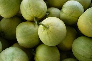 怀孕吃可以吃甜宝瓜吗,甜宝瓜的适宜食用与营养益处