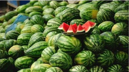 薄瓜怎么吃,探索夏日清新美味